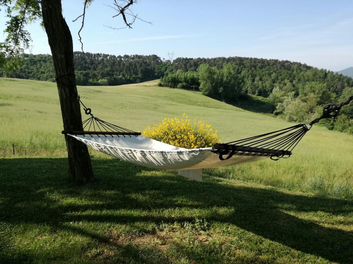 Il Vignolino Guest House Barberino di Mugello Exterior photo