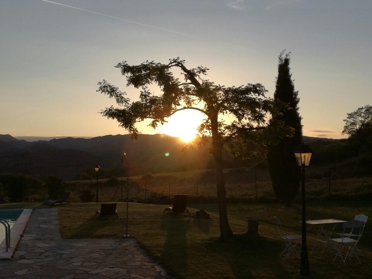 Il Vignolino Guest House Barberino di Mugello Exterior photo